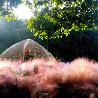 �ּ�����