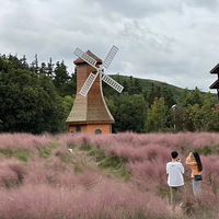 ���＾�Ž������� С�� ������ ԽҰ�� Ұ�� ��չ ���� ����