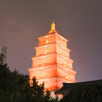 2019�����Լ���