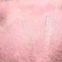 10.20 �ۺ컨��&�������򣬸���һ�ηۺ�Ļ��䣡