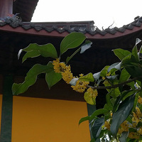 һ·���� ������ˬ