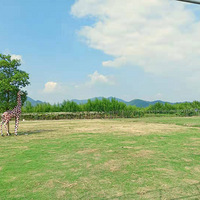 ����ĩ���Ƽ������˳Լ�cs��AVTԽҰ�������տ�����ײ�����