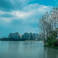 ���ݡ���������������԰