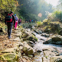 ͽ��ǧ���񺣹ŵ���̽����Ҧ�ġ�С����