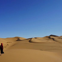 �����ɳĮ �ҵ���ͽ������