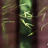 �����������õģ���΢Ц�ķ�ʽ