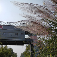 �����ˬ��������