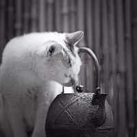 �ֲ����Ĳ��㣬�ٲ��˵���Ȥ��