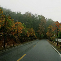 ���ﾰ������Ŀɽ��ʵ��