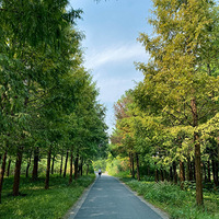 ���ݡ���Ϫʪ���ܼҴ塪����ׯ������Ϫ����