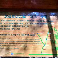 �����벽����������Ȳ衣