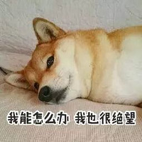 �������ϴ�Ĳ����裬�����ɣ�