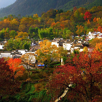 ȫ����ļ���Ľ�ȫ����Ӱ������ʮʡ��Э���죩֮����ɽƪ