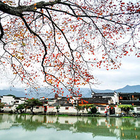 ȫ����Ӱ������ʮʡ��Э���죩֮һ�������ϡ���Դƪ