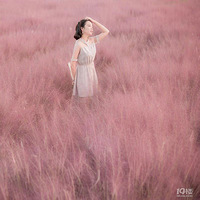 ����ʫ�续�ķ��컨�����ν���ˮ���������