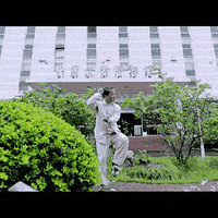 ���Ƚ���֮�� �����ָ�������Ϻ�����������