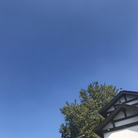 �̿���ϴ����������