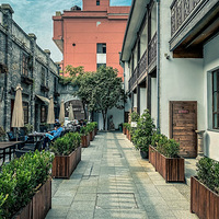 �����Ϸ��ӡ������Ķ䡤���ݺ���ߗ�Ƶ�