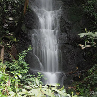 ͽ�����ݾ�Ϫʮ�˽�������������أ��Է��˼�