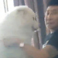 С˱Ħм䣺ˣҸӣ
