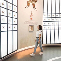 �Ž���������Ρ�Ұ���տ������ε�