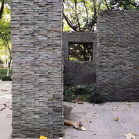 �������������㳡��԰����CS����