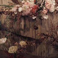 ���һ�����̩ʽ����Style,�ܶ������Ѿ���ǰ������!