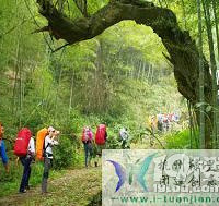 ����ŵ���ԭʼ��ͽ��֮��~