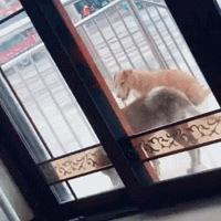 ƬʱȻ˸ĹʲôԵ֣