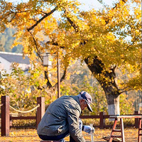 [����ĩ]11.7ǧ��������������ʮ������ӳ��ȣ�����������ɫ