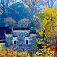 �Ž��֮��Դ��������Ļ���