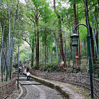 ɽ·���䣬·����