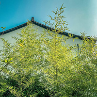 �����Ϸ��ӡ��޼���լ