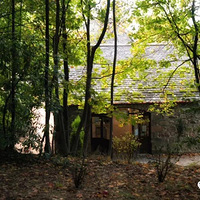 �����������