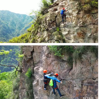 11.3�´����˷�����