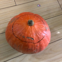 ��ʥ���Ϲϵ�