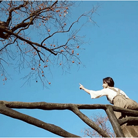 [���ִ�]11.3�����Ӻ��ɽҰ������ɫ��쵵�600���������Ŵ�