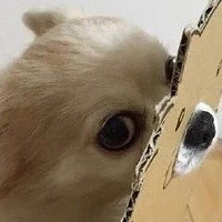 ѷԼҹƬȴΪ˵ѡ