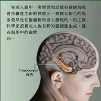 �����������ߡ��������Ǹ�α����