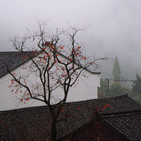 ����ɽ������