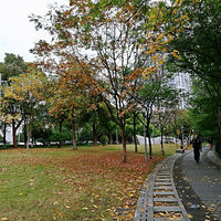 �����������������ȱϯ��