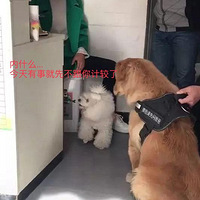 ֻܳû뵽һſ