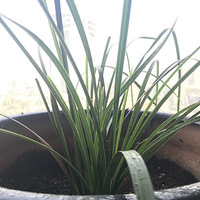 ͽ������ �պ��ŵ� ����ɽ ��ɽ�ŵ�