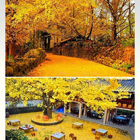 �ڳ����Ӵ� |  �����δ����������