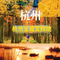 ����Ũ �����