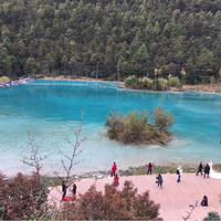 ������ͼ����