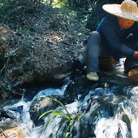 �й���ү�͹�500�����, ��������: ����ʲô�й�����