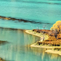 �½����� ͽ������