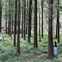 ������ȥ�ຼ����������ͽ�� ��ɼ���� ����� �����ܱ�������