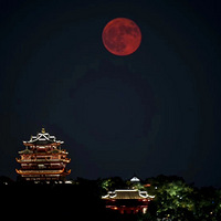 ����ҹ���� ����������ɽ����ͽ�� ÿ���� ����ͽ������